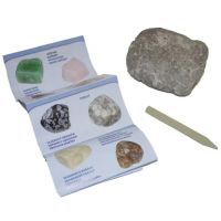 Minerals & Fossils stijena iznenađenja - 4/7/47bdd56c557cc527118f8323404d7b4efcc3727bff80f9f3bfa4c0d7398d32e7.jpg
