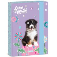 Ars Una: Cute animals - Aussie kutija za bilježnice s motivom pasa A/5 - a/r/Ars-Una-Cute-animals-Aussie-kutija-za-biljeznice-s-motivom-pasa-A-5-1.jpg