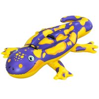 Bestway: Salamandra dušek za jahanje za dvoje s ručkama 191 x 119 cm - b/e/Bestway-Salamandra-dusek-za-jahanje-za-dvoje-s-ruckama-191-x-119-cm-1.jpg