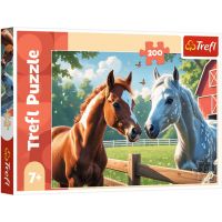 Konji na livadi, puzzle od 200 dijelova - Trefl - k/o/Konji-na-livadi-puzzle-od-200-dijelova-Trefl-1.jpg