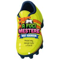 Majstor nogometa - Veliki rekordi