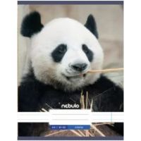 Nebulo: Panda obična bilježnica A4 80-32