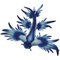 Plava morska puž igračka figura - Bullyland - p/l/Plava-morska-puz-igracka-figura-Bullyland-1.jpg