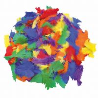 PlayBox: Paket šarenih dekorativnih perja od purana 100g, otprilike 1000 komada - p/l/PlayBox-Paket-sarenih-dekorativnih-perja-od-purana-100g-otprilike-1000-komada-1.jpg
