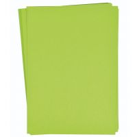 PlayBox: Set svijetlozelenog kartona A4, 25 komada, 180g - p/l/PlayBox-Set-svijetlozelenog-kartona-A4-25-komada-180g-1.jpg