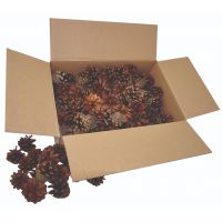 PlayBox: Set svjetlećih čunjeva, 125 komada - p/l/PlayBox-Set-svjetlecih-cunjeva-125-komada-1.jpg