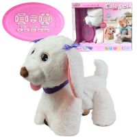 RC Cute Pet: Interaktivni plišani labrador pas na daljinsko upravljanje s dodacima 2.4GHz 40cm - r/c/rc-cute-pet-interaktivni-plisani-labrador-pas-na-daljinsko-upravljanje-s-dodacima-24ghz-40cm.jpg