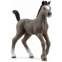 Schleich: Figura ždrijebeta pasmine Cheval de Selle (13957) - s/c/Schleich-Figura-zdrijebeta-pasmine-Cheval-de-Selle-13957-1.jpg