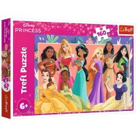Skupna slika Disney princeza, puzzle od 160 dijelova - Trefl - s/k/Skupna-slika-Disney-princeza-puzzle-od-160-dijelova-Trefl-1.jpg