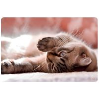 Spirit: Little Cat stolni podmetač 60x40cm - s/p/Spirit-Little-Cat-stolni-podmetac-60x40cm-1.jpg