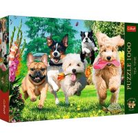 Tisuću komada premium puzzle 