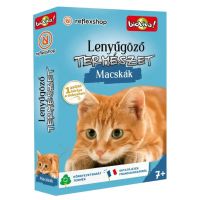 Zapanjujuća priroda - Igra s kartama Mačke - z/a/Zapanjujuca-priroda-Igra-s-kartama-Macke-1.jpg