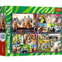 Zabavne životinje puzzle 4x250 komada - Trefl - z/a/zabavne-zivotinje-puzzle-4x250-komada-trefl-1.jpg
