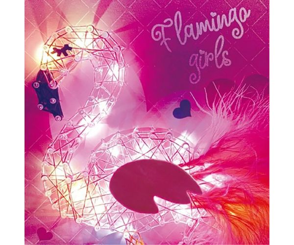 WowBox: LED Svjetlosni Vez - Flamingo