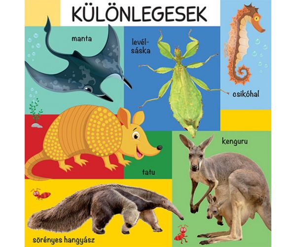 101 šarena slika o divljim životinjama slikovnica