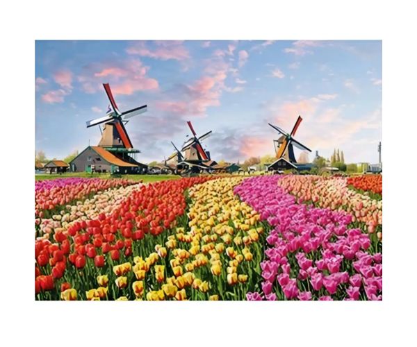 Set za slikanje dijamantima: Nizozemsko polje tulipana dijamantni set 30x40cm