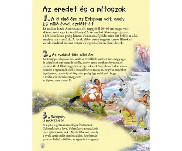 101 stvari koje je dobro znati o konjima popularno-znanstvena knjiga