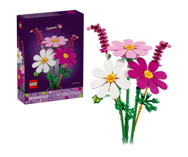 LEGO® Botanicals: Leptirasti cvjetovi (11514)
