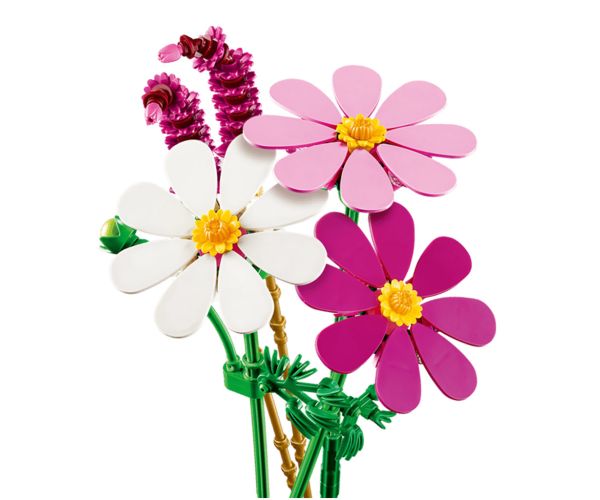 LEGO® Botanicals: Leptirasti cvjetovi (11514)