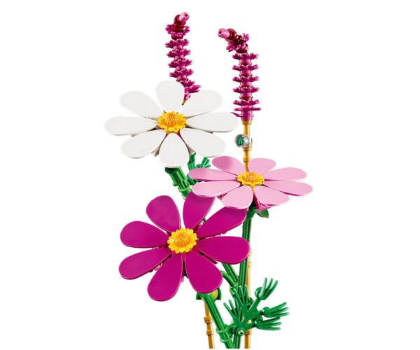 LEGO® Botanicals: Leptirasti cvjetovi (11514)