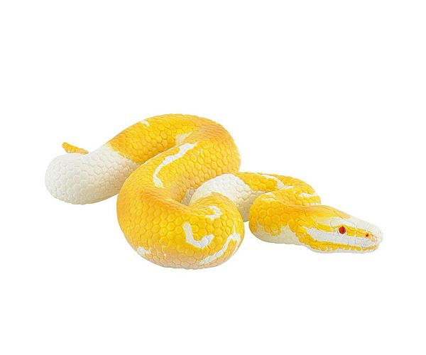 Albino kraljevski piton figura