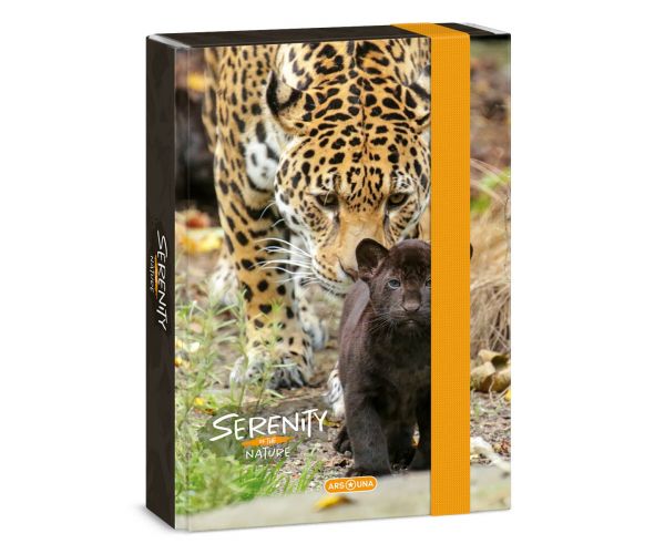 Ars Una: Mapa za prijenosno računalo Serenity Jaguar A5