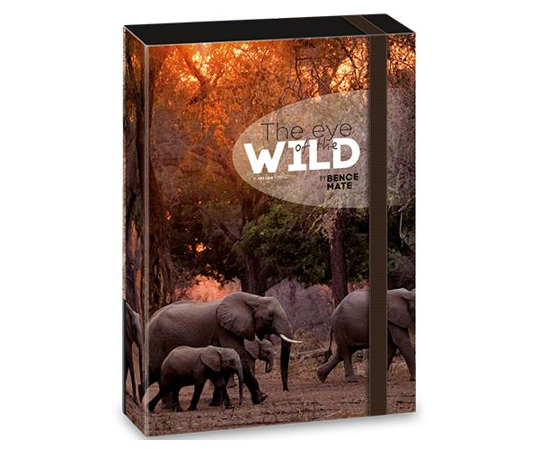 Ars Una: Mate Bence The Eyes of the Wild - Mapa sa uzorkom slona A/4