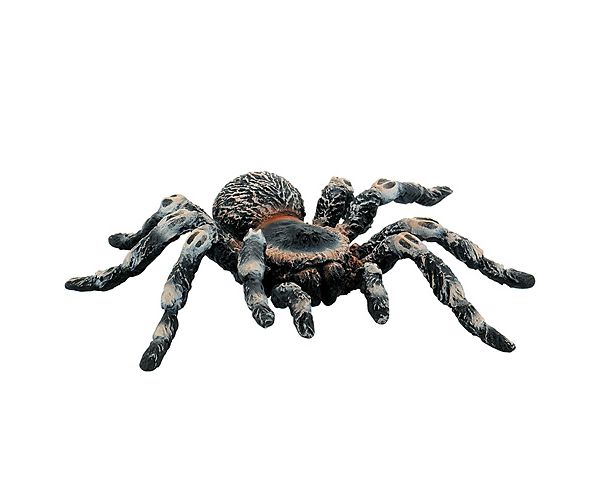 Bijeli ptičji pauk figura