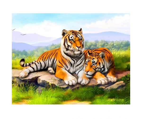 Dijamantna slagalica: Set za dijamantno slikanje tigrova 40x50cm