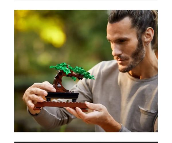 LEGO® Creator: Bonsai drvo (10281)