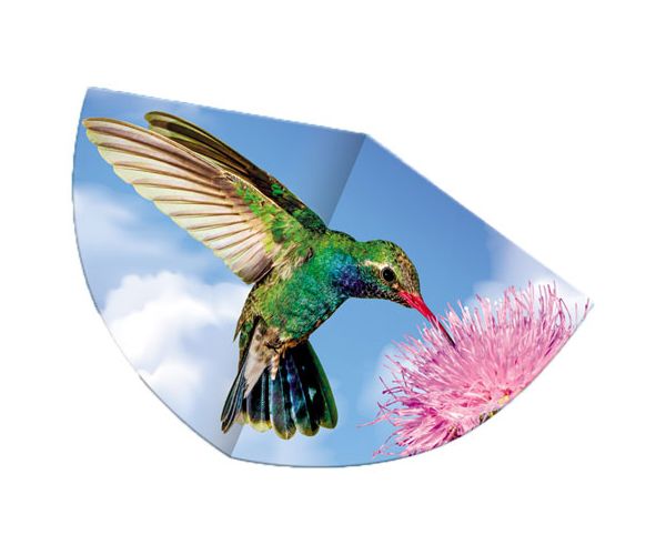 Kolibri zmaj koji leti