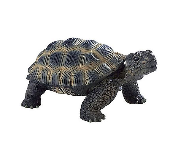 Kornjača figura