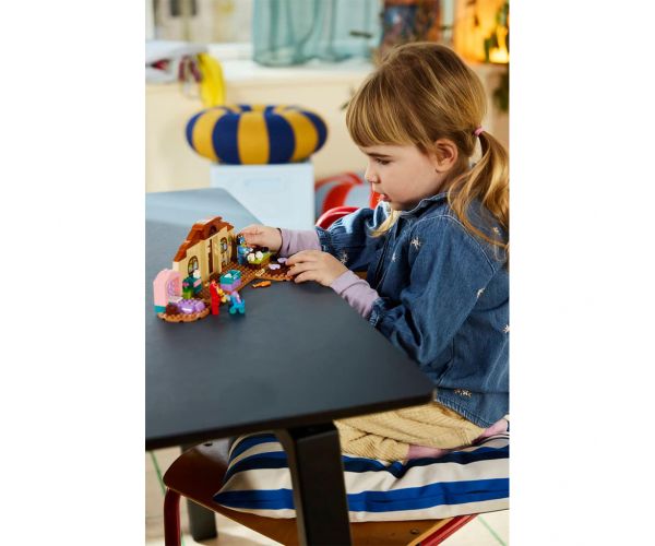 LEGO® Bluey™: Rozsdás i Bluey u školi (11221)