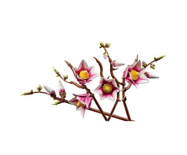 LEGO® Botanicals: Grane magnolije (11510)