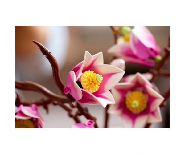 LEGO® Botanicals: Grane magnolije (11510)