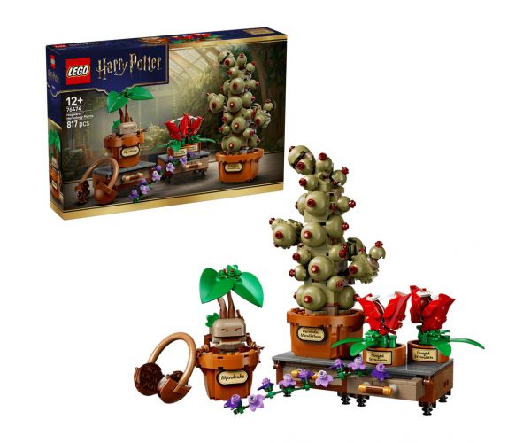 LEGO® Harry Potter™: A Roxfort™-i gyógynövénytanóra növényei (76474)