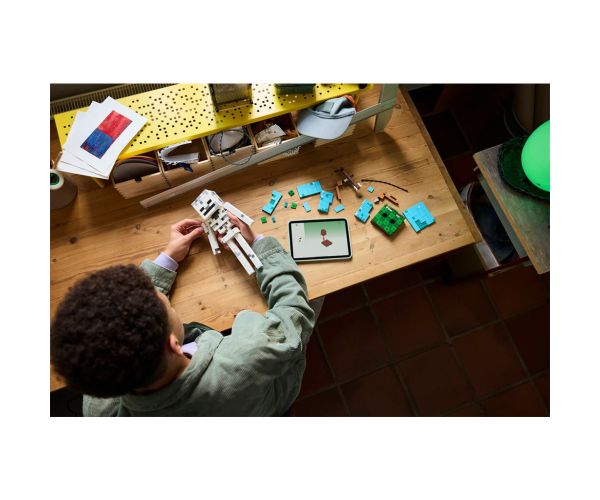 LEGO® Minecraft: Kostur (21594)