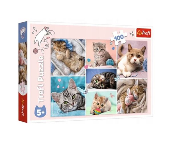 Mačke puzzle 100kom - Trefl