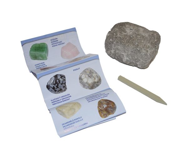 Minerals & Fossils stijena iznenađenja