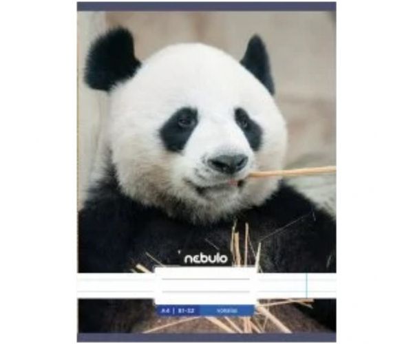 Nebulo: Panda obična bilježnica A4 80-32