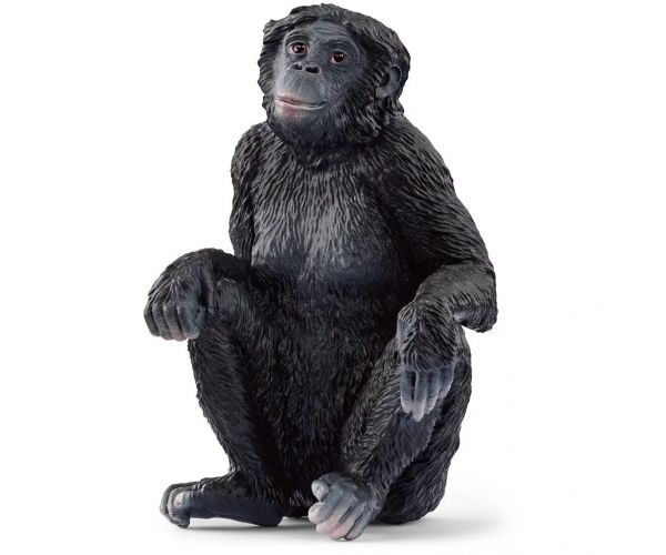 Schleich: Bonobo nőstény figura (14875)