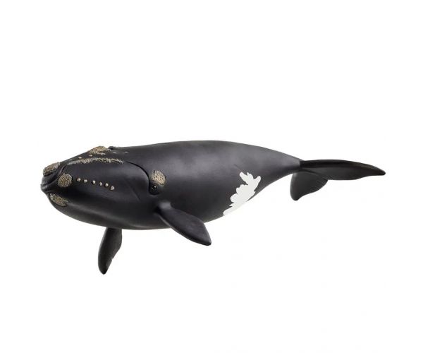 Schleich: Észak-atlanti bálna figura (14878)
