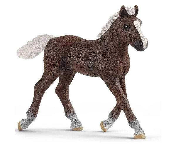 Schleich: Schwarzwaldi csikó figura (13899)