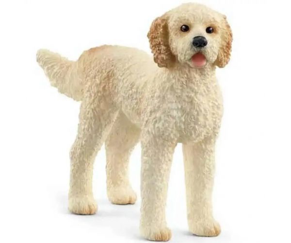 Schleich: Goldendoodle figura (13939)