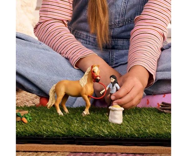 Schleich: Horse Club Emily set za njegu konja (42797)