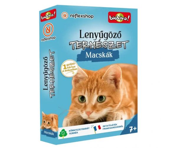 Lenyűgöző természet - Macskák kártyajáték
